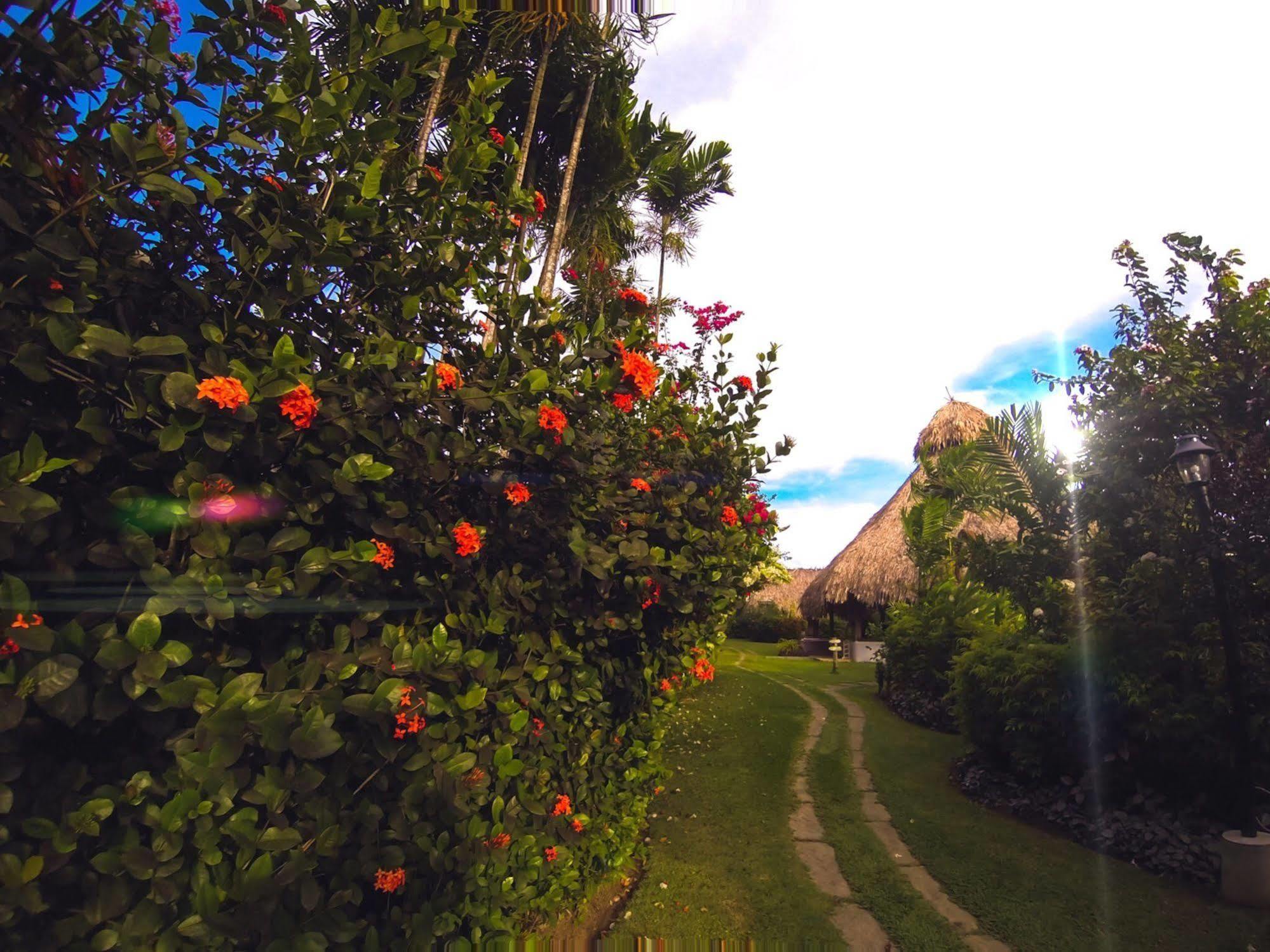 Kariwak Village Holistic Haven Crown Point Exterior photo